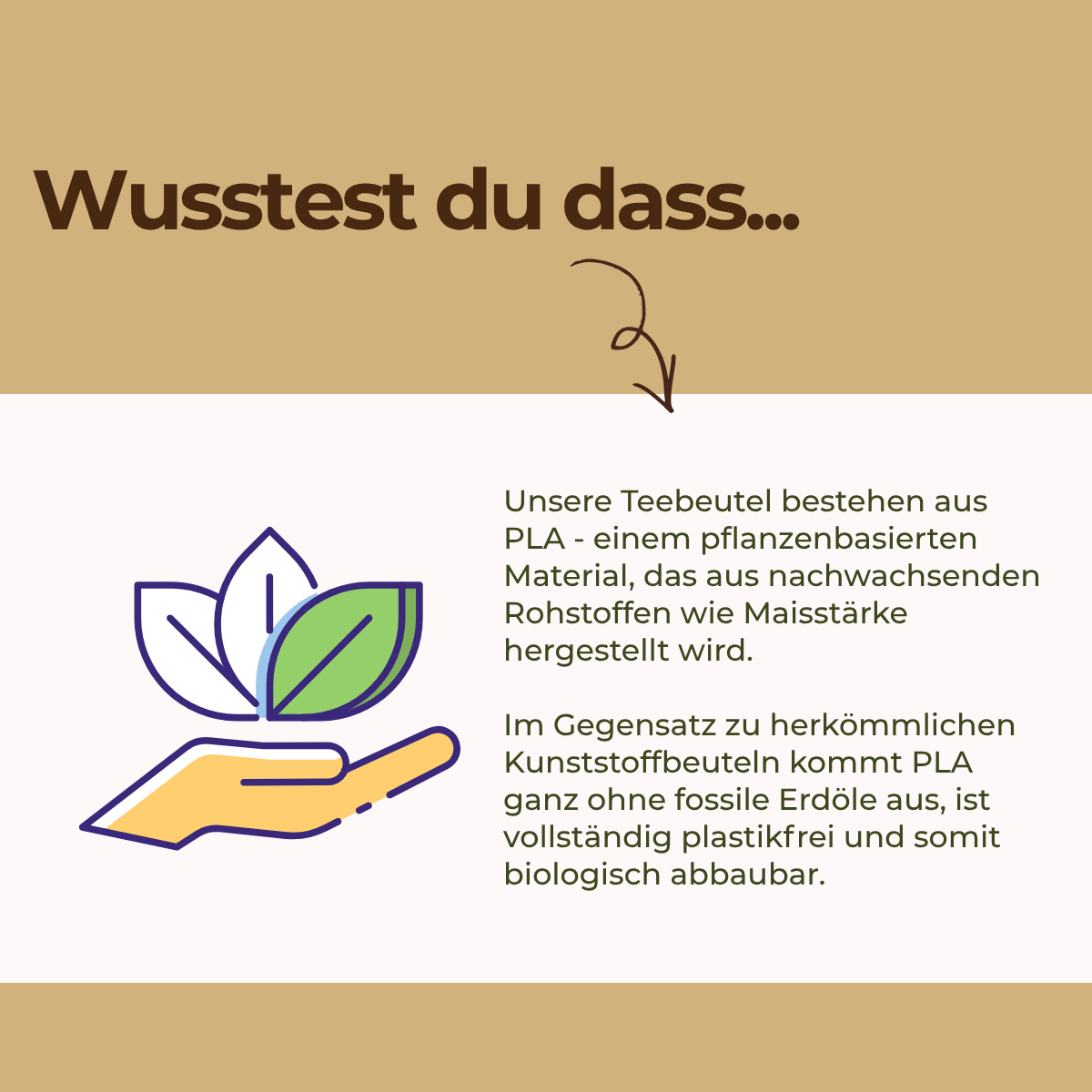 Assam - Schwarztee aus Indien