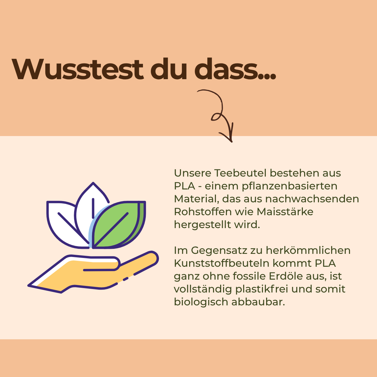 Früchtetee Fresh Peach Teebeutel