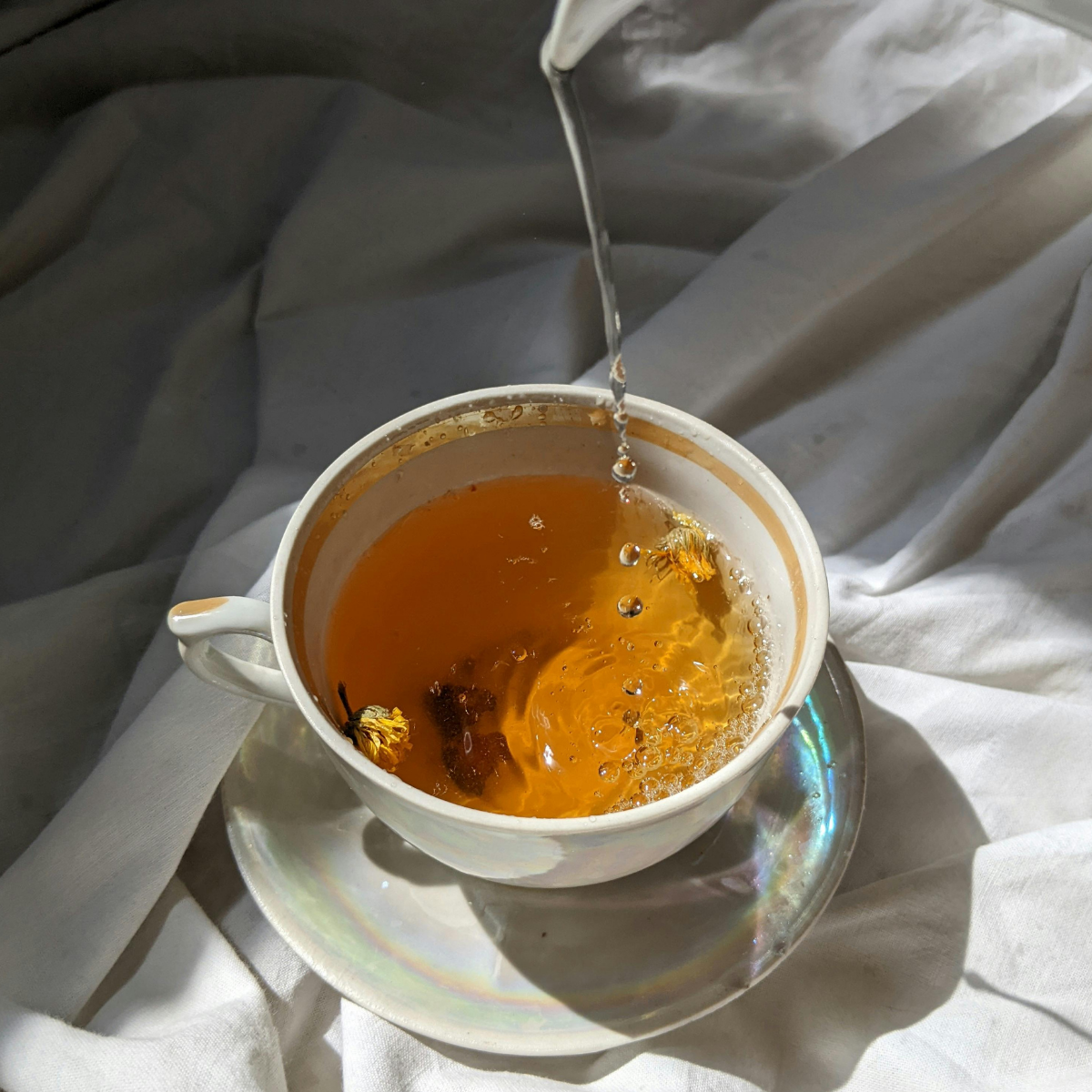 Früchtetee Fresh Peach
