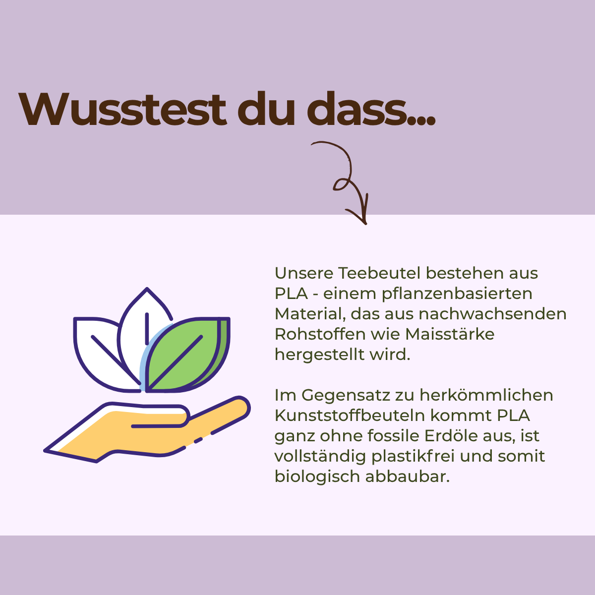Früchtetee Fruchtgummi Traum