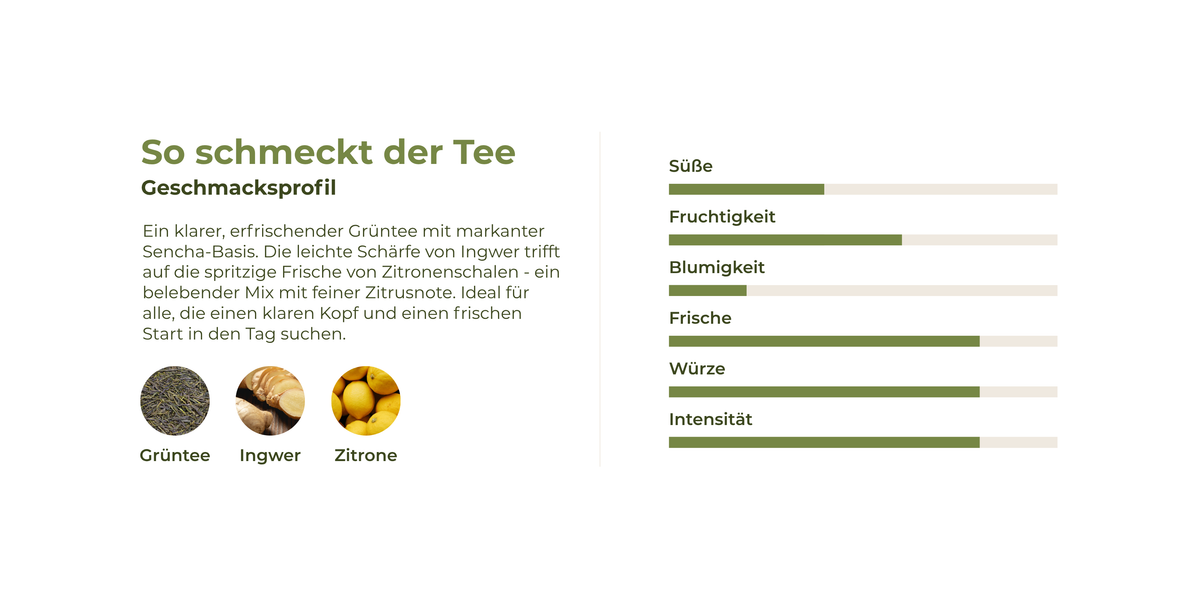 Geschmacksprofil des Wach-Tees Grüner Kick mit Grüntee, Ingwer und Zitrone
