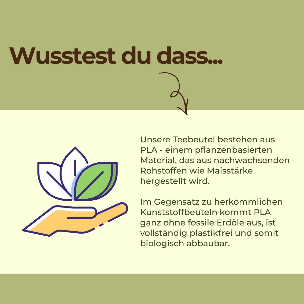 Grüntee Ingwer-Zitrone