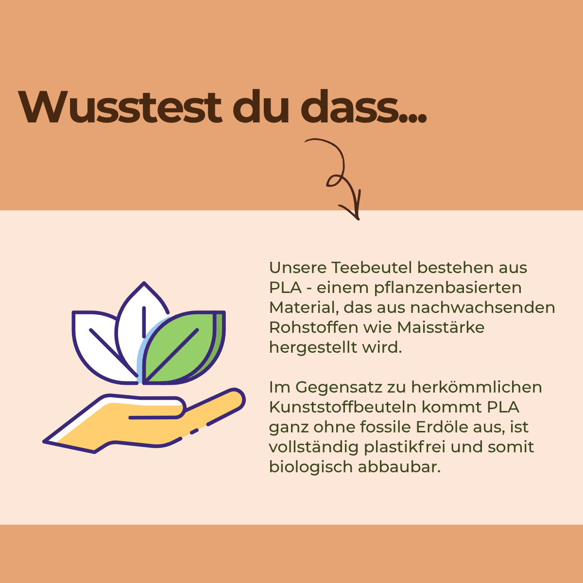 Schwarztee Süße Orange Teebeutel