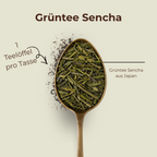 Grüntee Sencha aus Japan lose auf einem Messinglöffel mit grünen Sencha-Blättern, Dosierung 1 Teelöffel pro Tasse