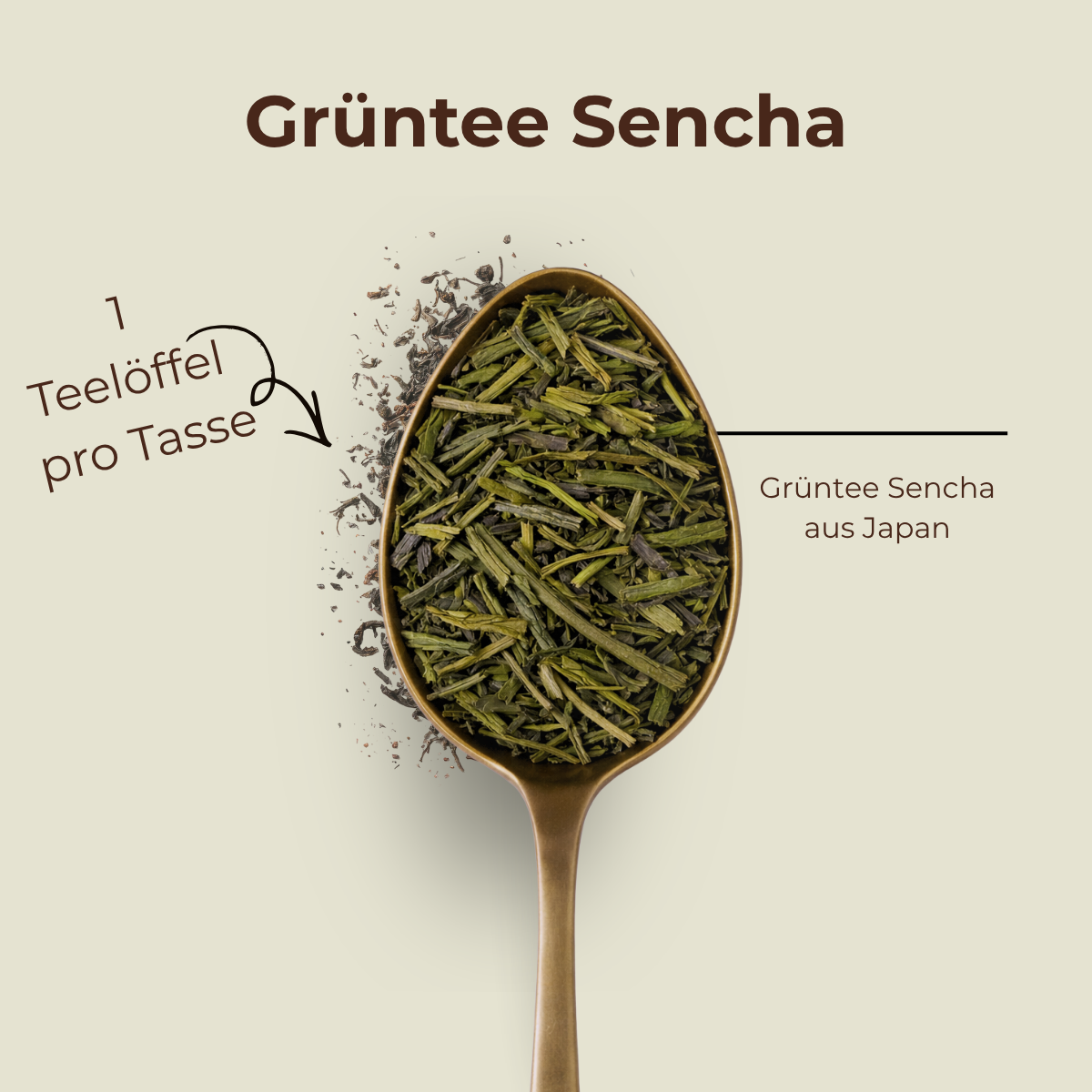 Grüntee Sencha aus Japan - loser Tee