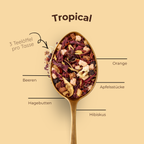 Früchtetee Tropical Ice Tea