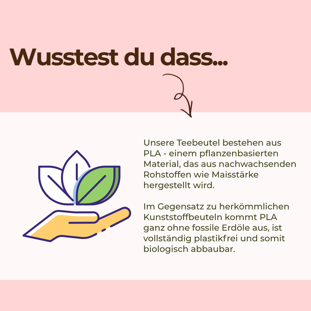 Früchtetee Tropical
