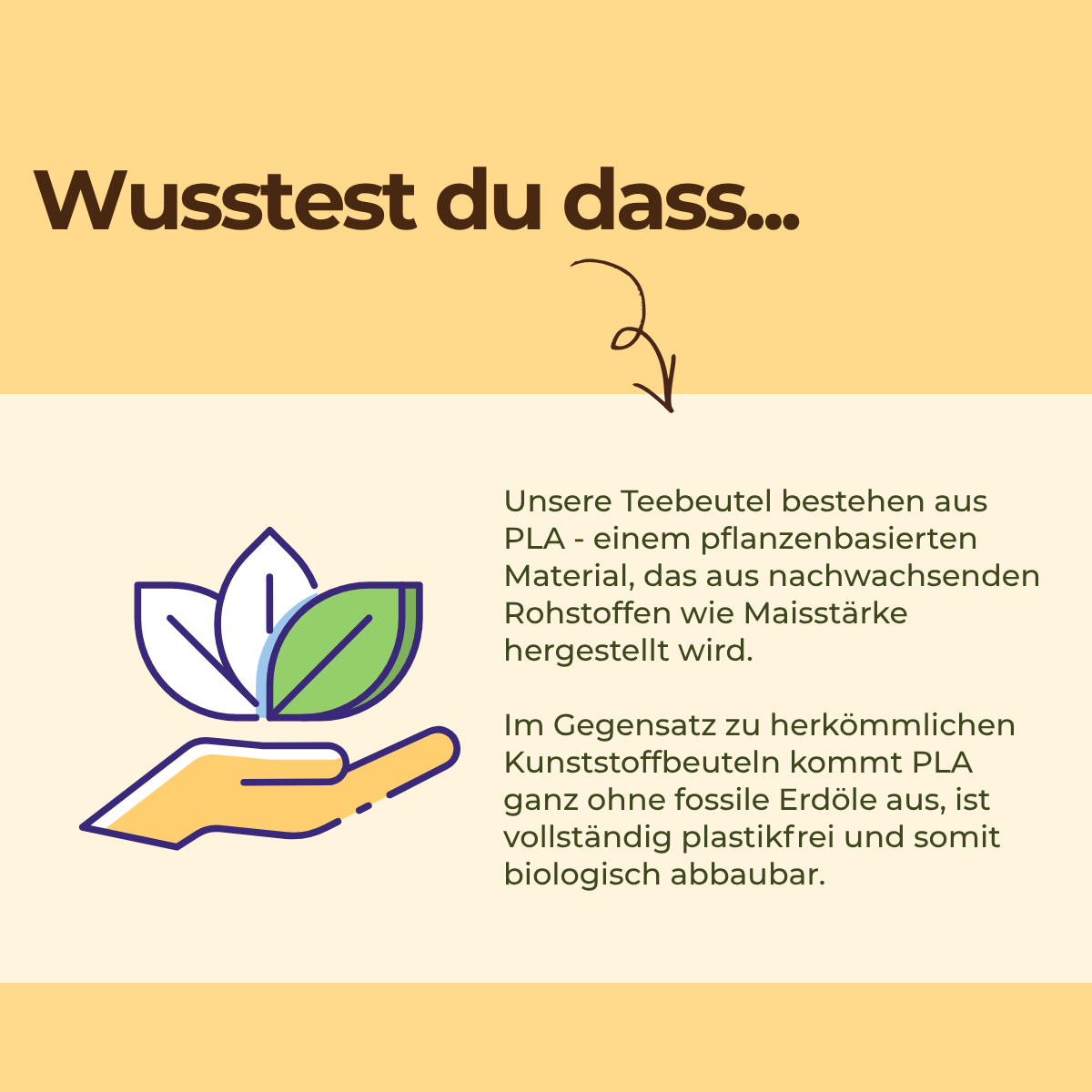 Früchtetee Wilde Mango