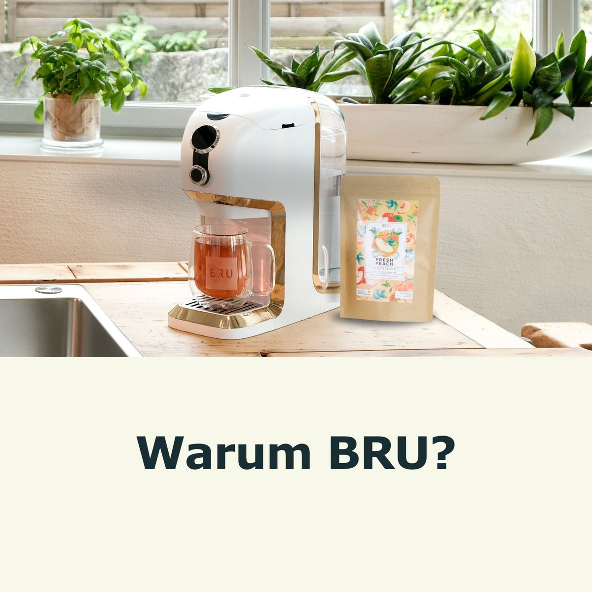 WARUM BRU