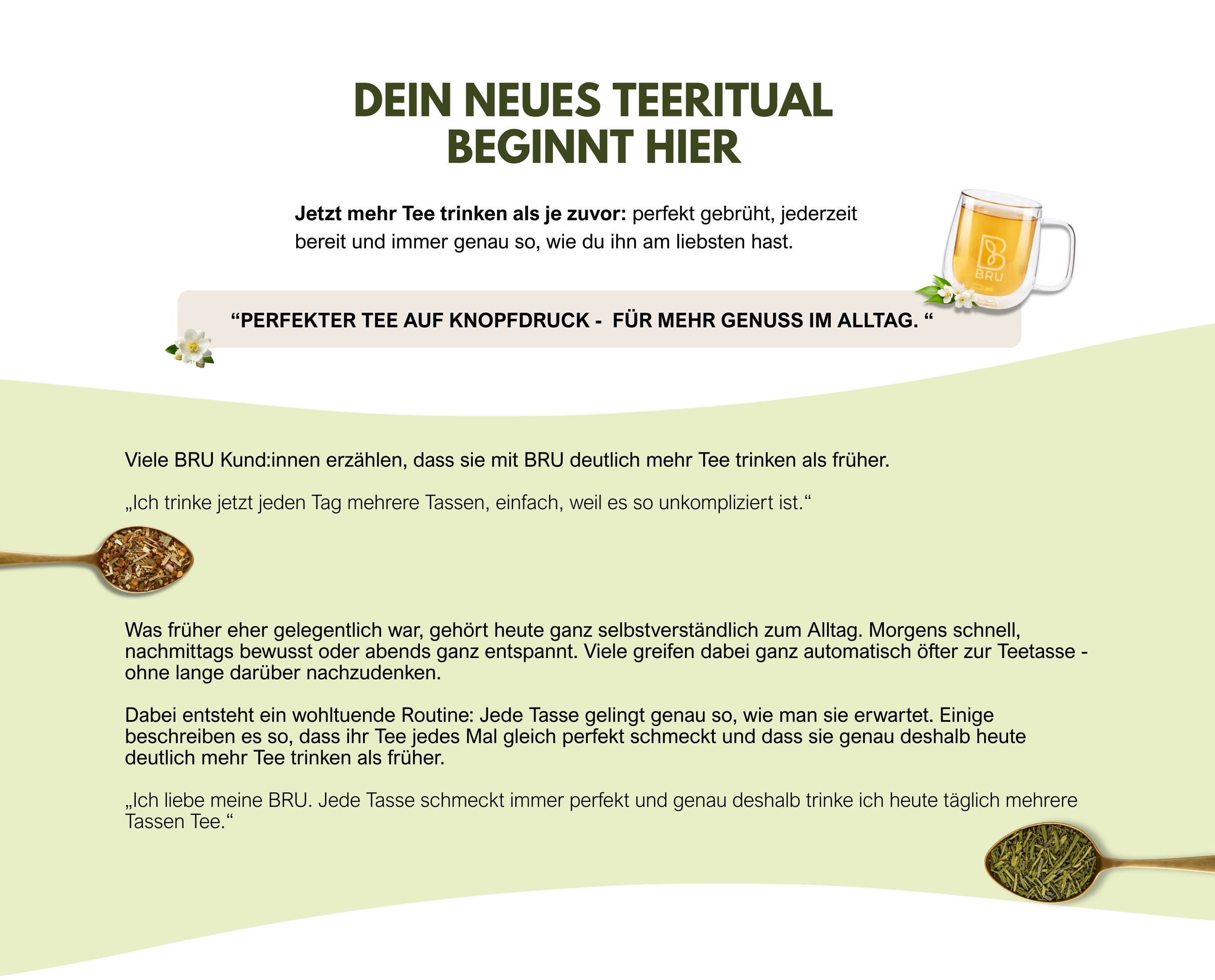 Landing Page Viel