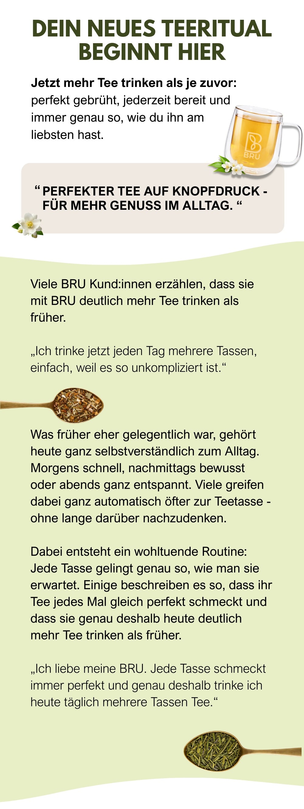 Landing Page Viel